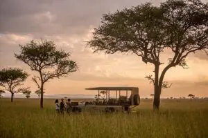 Excepcional avistamiento de animales en África Oriental.