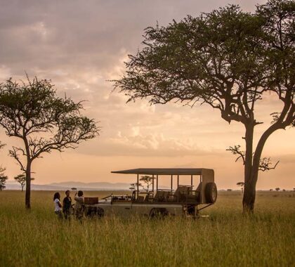 Exceptional game viewing in East Africa.