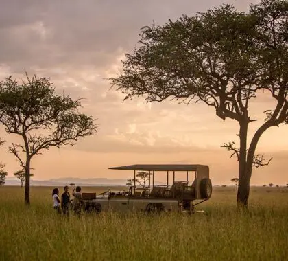 Excepcional avistamiento de animales en África Oriental.