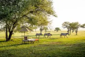 Disfrute de una siesta por la tarde en el Sabora Tented Camp.