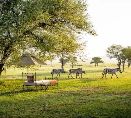 Enjoy an afternoon siesta at Sabora Tented Camp.
