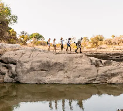 Una expedición guiada a pie. | Thornybush Game Lodge