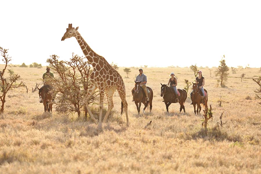 Horse riding within the Lewa Wildlife Conservancy.
