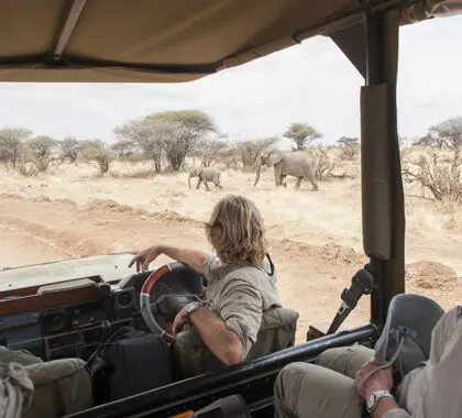 ruaha-national-park-game-drive-elephants-paul-joynson-hicks-mr-Kwihala-Camp