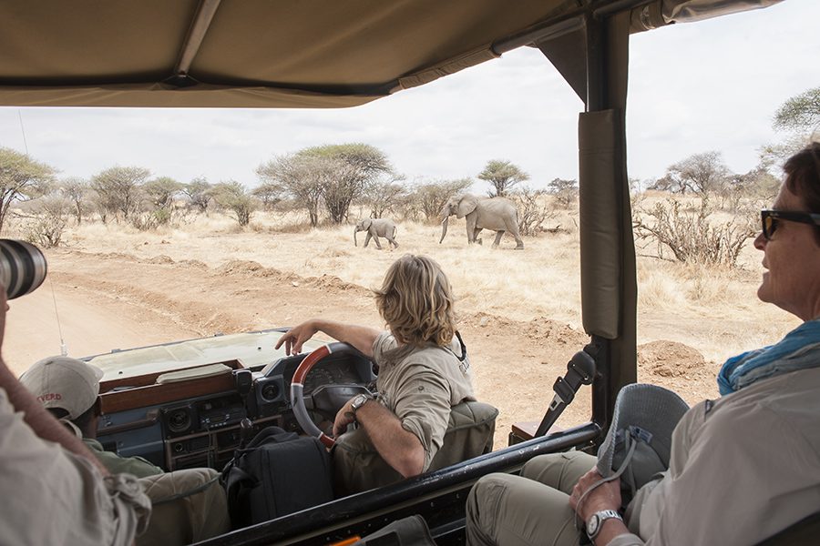 Game drives in Ruaha National Park.