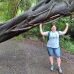 Passeios na floresta à volta das Cataratas Vitória.