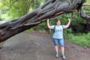 Passeios na floresta à volta das Cataratas Vitória.