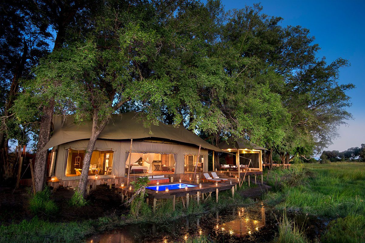 Luxurious tent under trees at the luxurious Duba Plains, Okavango Delta
