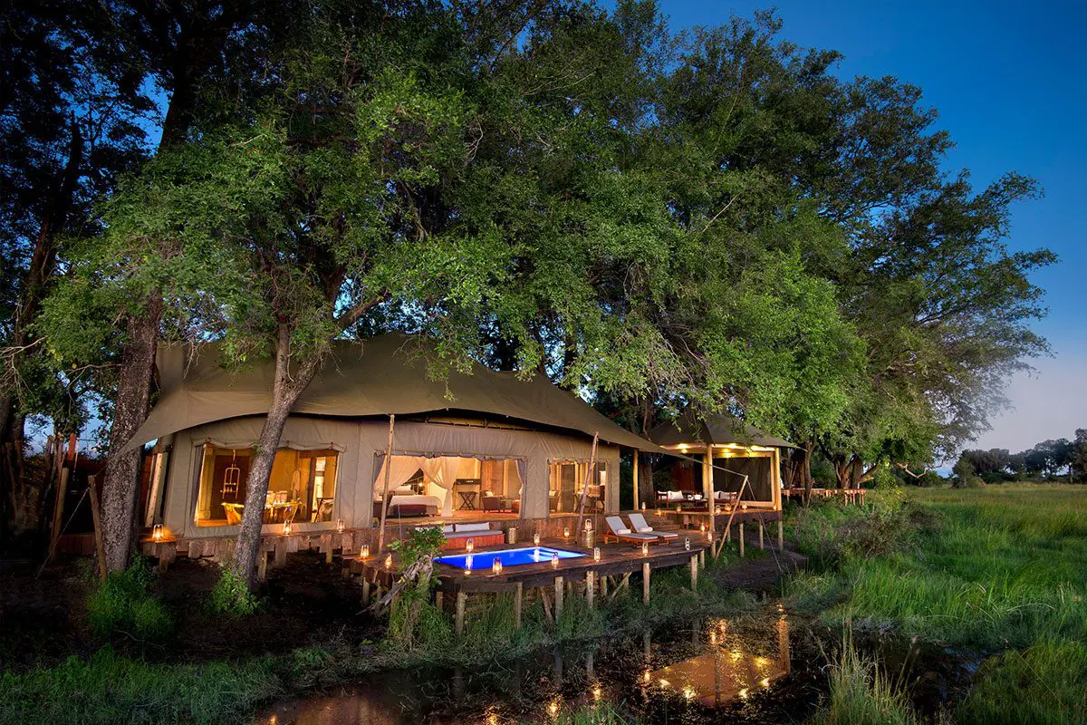 Luxurious tent under trees at the luxurious Duba Plains, Okavango Delta