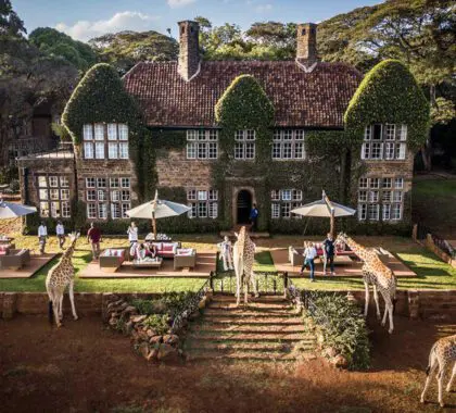 jirafa-manor