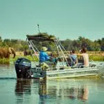 River boat safaris and tiger fishing excursions.