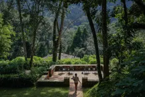 Tranquility in the forest | Bwindi Lodge