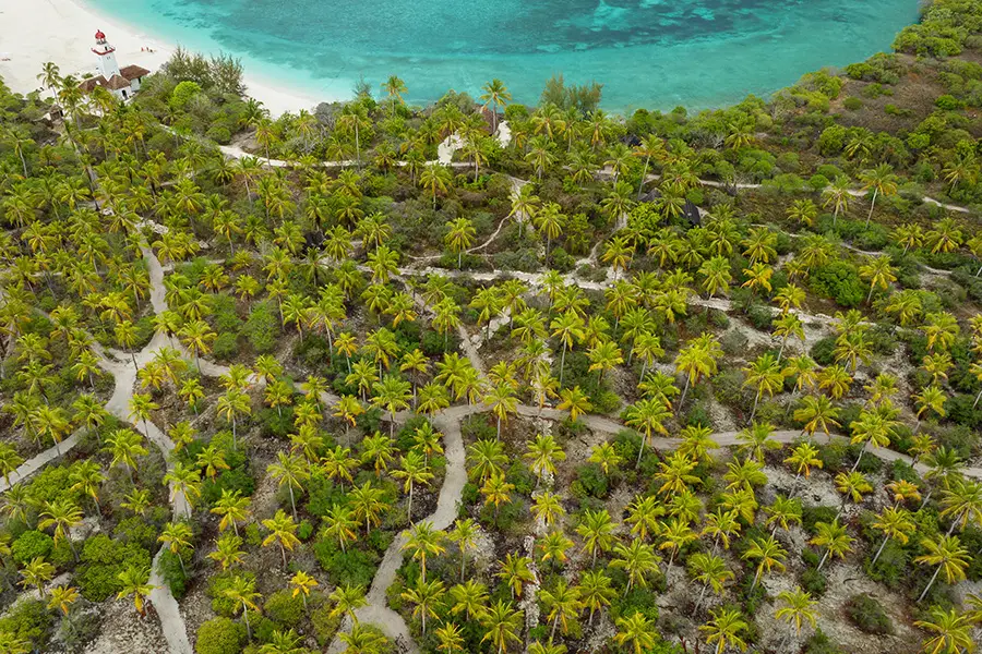 Explore la isla por los múltiples senderos que atraviesan el bosque de palmeras.
