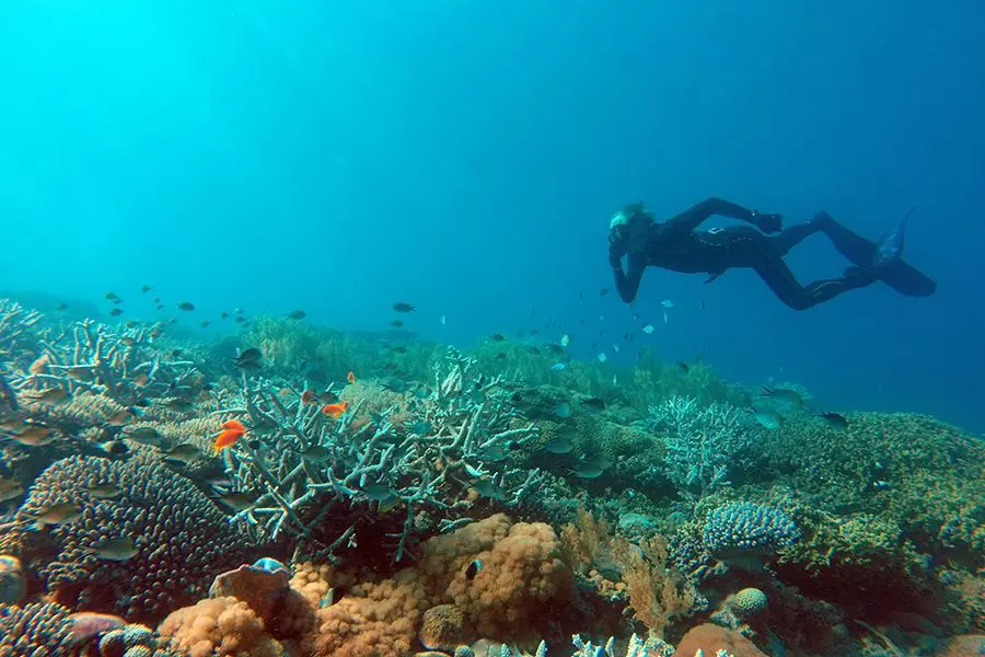 Buceo con tubo en la isla de Fanjove.