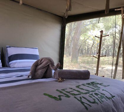 The interior of your tent at Kutali.