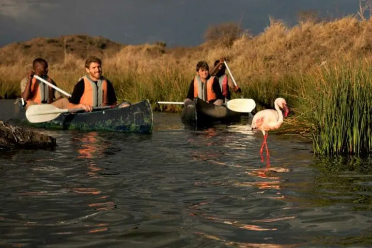 Kayaking with Rivertrees in Arusha National Park.