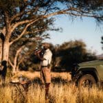 Emocionantes safaris.