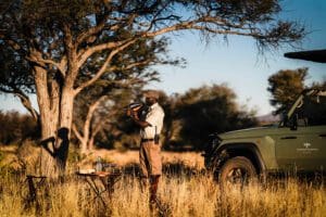 Emocionantes safaris.
