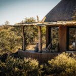 Los chalés con techo de paja siguen el modelo de las cabañas locales de Owambo.