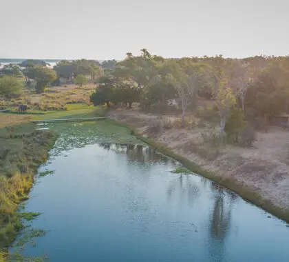 Vista aérea del entorno de Chula Island Camp, un lugar popular para los elefantes. 