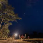 Dinner under the stars.