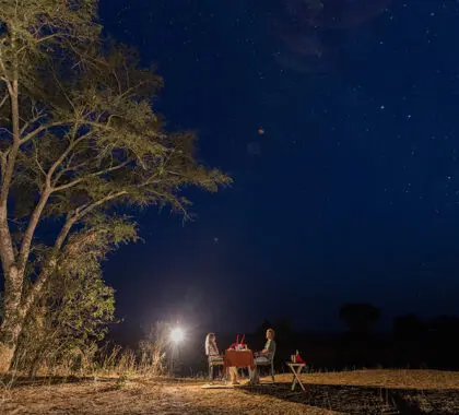 Cena bajo las estrellas.