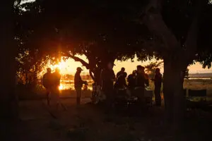 Enjoy sundowners after a full day exploring the Lower Zambezi. 