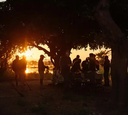 Disfrute de un cóctel al atardecer tras un día entero explorando el Bajo Zambeze. 