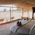 The tent interiors have a surrounding mesh to ensure the best views. 
