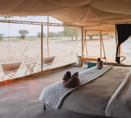 Los interiores de las tiendas tienen una malla envolvente para garantizar las mejores vistas. 