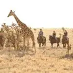 Emocionantes actividades a caballo.