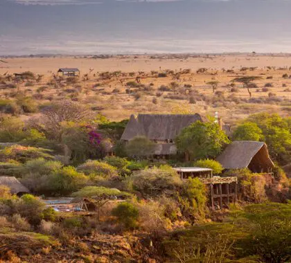 Exterior del Lewa Wilderness Lodge