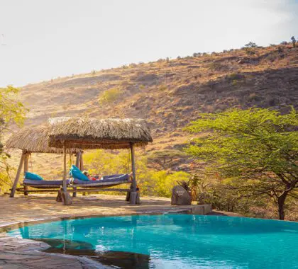 Piscina en Lewa Wilderness.