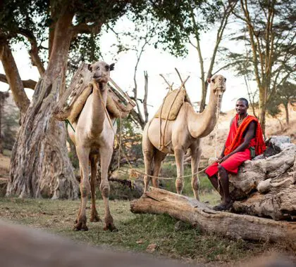 Lewa_Wilderness_Lodge_wild-walks