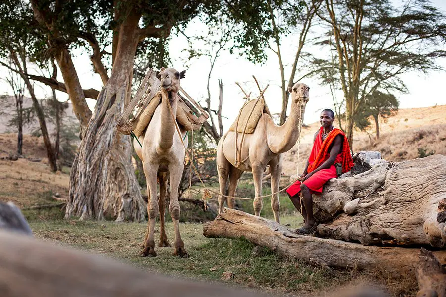 Lewa_Wilderness_Lodge_paseos silvestres