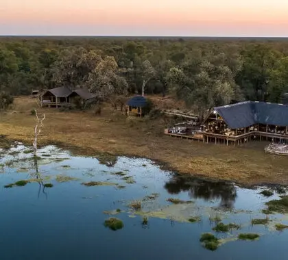 Los mejores lodges y campamentos de safari de Botsuana