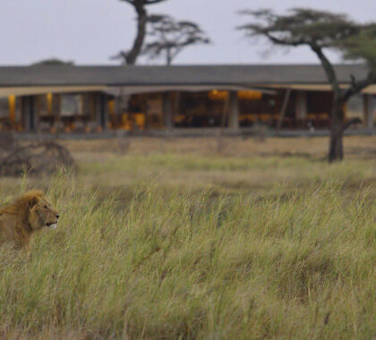 15 Best Tanzania Safari Tours