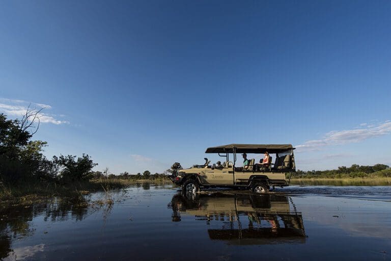 Emocionantes safaris.
