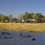 Hipopótamos en la laguna frente al campamento Tuludi.