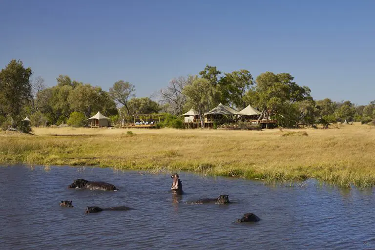 Hipopótamos en la laguna frente al campamento Tuludi.