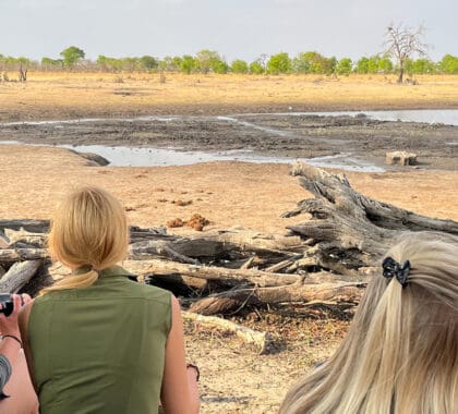 7 mejores safaris a Hwange