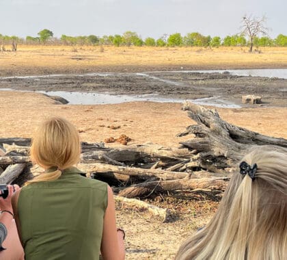 7 Best Hwange Safari Tours