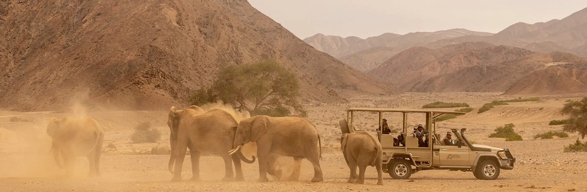 Banner-Hoanib-Valley-Camp---Game-Drive-With-Elephant