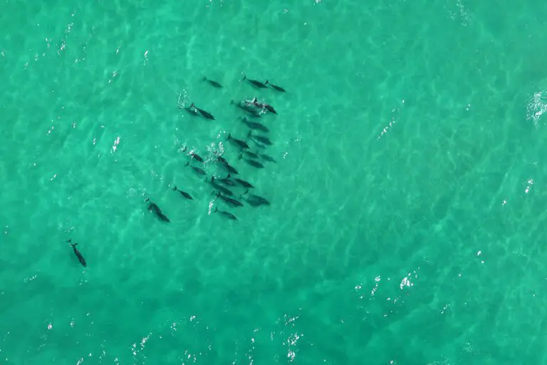 Sin duda, una de las reservas costeras más gloriosas de África.