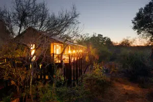 Sumérjase en la naturaleza indómita en el Kapama Buffalo Camp.