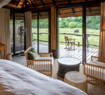 Mfuwe Lodge_suite interior with a view of wildlife