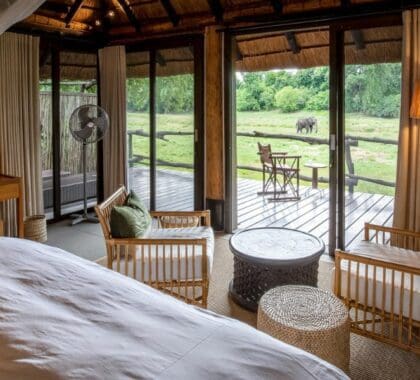 Interior de la suite del Mfuwe Lodge con vistas a la vida salvaje.