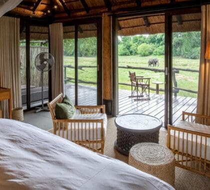 Mfuwe Lodge_suite interior with a view of wildlife