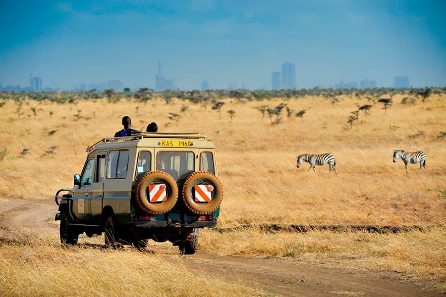 Nairobi National Park with the Nairobi cityscape as a backdrop.