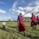 Paseo por la sabana con masai.